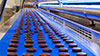 Chocolate enrobing and cooling Tunnel 300/400